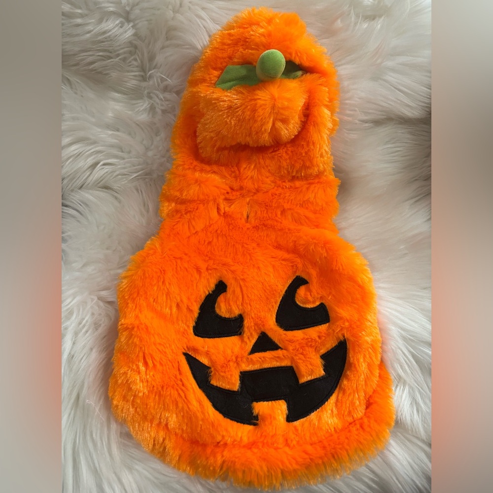 Medium Dog Pumpkin Costume NWOT